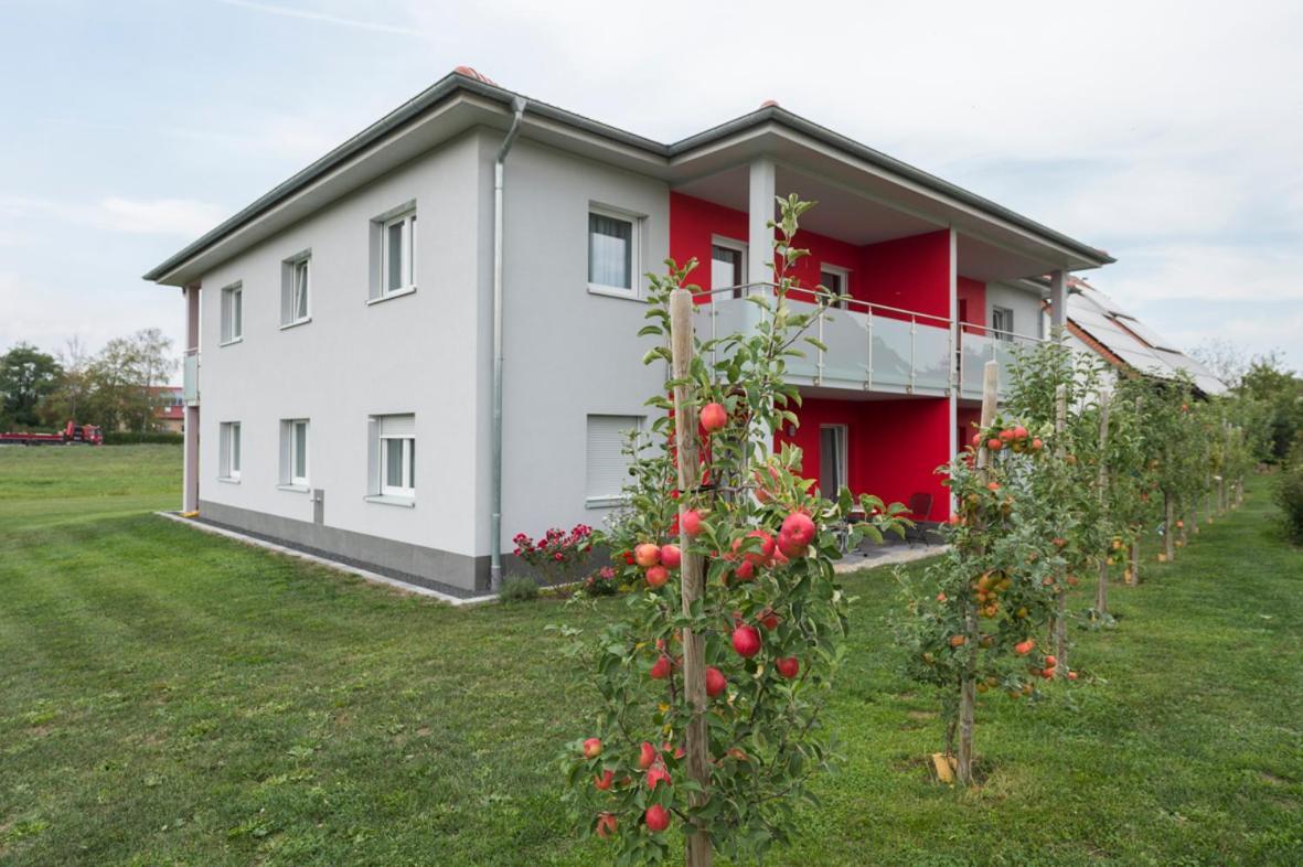 Hofmann'S Apartements & Ferienwohnungen اُبيردَخشتاتين المظهر الخارجي الصورة